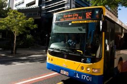 Brisbane Bus